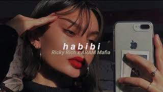 Ricky Rich x ARAM Mafia  Habibi slowed  reverb [upl. by Aiciram]