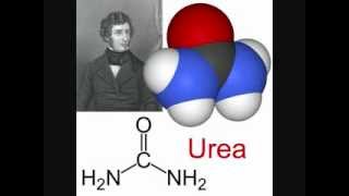 Urea Thiourea and the Beilstein Test [upl. by Eciuqram965]