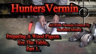 Preparing A Wood Pigeon For The Table Part 1 Feb 2013 [upl. by Bathulda]