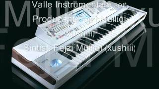 valle Instrumentale █▬█ █ ▀█▀ 2011  xushiii [upl. by Irtimd345]