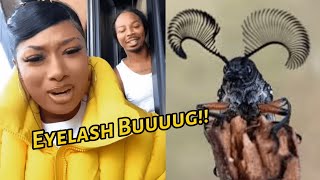 Megan Thee Stallion Vs Eyelash bug 💅🏽😂 [upl. by Ahsekel267]