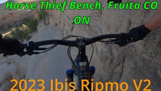 2023 Ibis Ripmo V2 review at Kokopelli in Fruita Colorado [upl. by Nalyt]