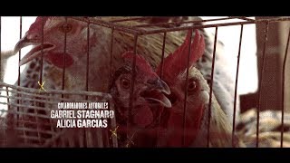 Un Gallo para Esculapio  Intro  Apertura HD [upl. by Nyltac]