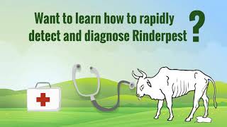 Rinderpest Disease Recognition elearning [upl. by Leksehcey]