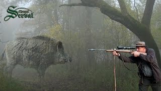 Wild Boar Hunting in Baranya –Part 2 Perfect shots Wildschweinejagd Pirsch in Baranja  2 [upl. by Neel403]