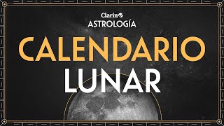 Calendario Lunar cómo aprovechar la energía de LUNA NUEVA y conectar con las RAÍCES  Lourdes Ferro [upl. by Fatimah]