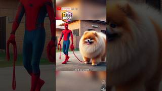 Spiderman gifting a Giant Pomeranian to Supergirl ❤️ brawlstars spiderman marvel dccomics [upl. by Iveson]