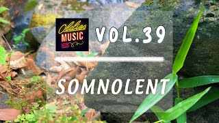 Somnolent  Gentle Resonance Relaxing Music for Peace  Vol 39 [upl. by Ellwood]