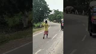 RHINO ATTACK  On Camera Biker Chased and Killed By Rhino  Pobitora Assam [upl. by Eixela]