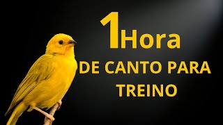 Canário da Terra Cantando Canto Para TREINO [upl. by Yehtomit]