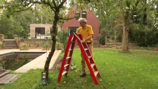 Appelboom snoeien  Fruitbomen zomersnoei  Tuinieren met Hendrik Jan de Tuinman [upl. by Kohler]