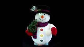 ANIMATED FIBER OPTIC SNOWMAN [upl. by Guzel]