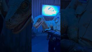 Velociraptor jurassicworld [upl. by Neelloc]