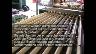 Kirschensortiermaschine SELECT und SELECTplus  Siegwald Gerätebau Auggen [upl. by Gunner]