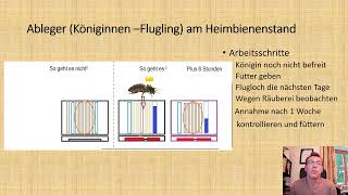 Völkerführung Juli Ableger am Heimbienenstand bilden [upl. by Tselec]