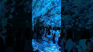 Experiencing the visual spectacle of the light display conradmanila spaceandtimecube lightshow [upl. by Naut]