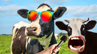 FUNNY COW DANCE FOR 13 MINUTES STRAIGHT 40  Cow Song amp Cow Videos 2024  cow sound  dancing cow [upl. by Aciraa154]