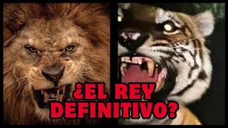 EL REY DESTRONADO ¿Puede el Tigre vencer al León [upl. by Megen]