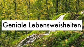 Geniale Lebensweisheiten  Witzige Zitate amp Weisheiten des Lebens [upl. by Hitt]