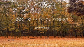 🍂쓸쓸한 마음 정리하며 듣는 가야금 연주 10시간 연속듣기⎮ 중간광고없음 ⎮ 집중 공부 힐링 휴식 감성 명상 태교음악 10Hours korea gayageum Play [upl. by Moselle]