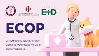 Caso Clínico Pododermatitis  ECOP [upl. by Vivyanne821]