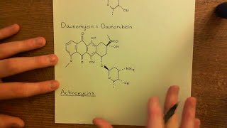 DNA Intercalaters Part 1 [upl. by Simpkins]