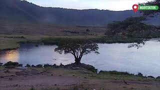 Ngorongoro Conservation Area Live Stream [upl. by Bonita118]