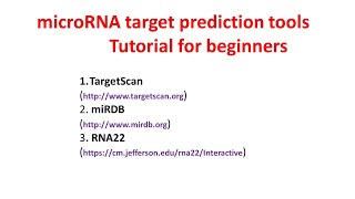 miRNA target prediction tools tutorial  Targetscan  miRDB  RNA22 [upl. by Eustacia]