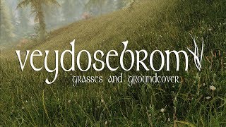 Veydosebrom  Grasses and Groundcover  Skyrim SE Grass Mod [upl. by Krenek294]