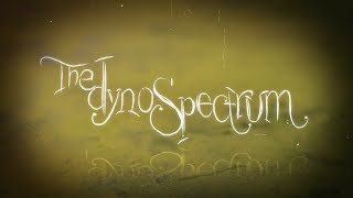 The Dynospectrum  Anything Is Everything Official Video [upl. by Rodd]