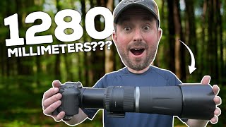 Canon RF 600 f11 vs 800mm f11 Which should you buy [upl. by Nealey]