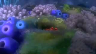 Finding Nemo Nemo Egg Scene cutted [upl. by Anilocin]