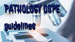 PATHOLOGY OSPE part 2 complete topics with scenarios guidelines RBCs WBCs and Platelets [upl. by Nibla]