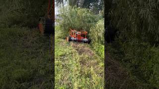 TREX 44 SLOPE MOWER VS BRANCH WHO WILL WIN [upl. by Annahavas]