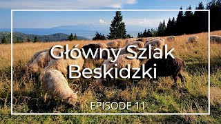 GSB 11  Krościenko nad Dunajcem  Lubań  Turbacz  Stare Wierchy  4K [upl. by Auohp]