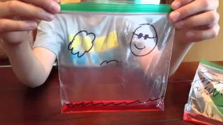 Water Cycle Experiment  Making it Rain in a Bag [upl. by Klinger]