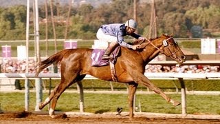 1993 Breeders Cup Classic  Arcangues  Post Race amp WrapUp [upl. by Enelam286]