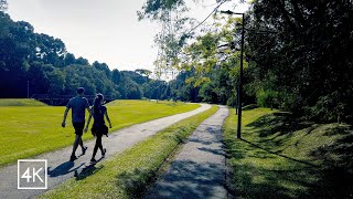 PARQUE TINGUI  O PARQUE MAIS LINDO DE CURITIBA Paraná Brasil 4k Experiência [upl. by Renat]