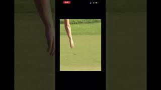 Cam Smith amazing sand save livgolf cameronsmith golf tomgillisgolfinstruction [upl. by Woodford]