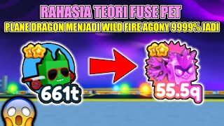 RAHASIA TEORI FUSE PET PLANE DRAGON MENJADI WILD FIRE AGONY DI PET SIMULATOR X  Roblox Indonesia [upl. by Nahpos]