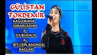 Gülistan TOKDEMİR  Kağızmana Ismarladım amp Oy Budala amp Bitlisin Başında Bağlar CANLI [upl. by Lletnohs]