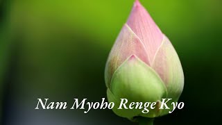 Daimoku 5 Minutes Transform Your Life with a 5Minute Nammyohorengekyo Chant [upl. by Budde]