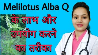 Melilotus Alba Homeopathic medicine Uses Review Side effects in Hindi [upl. by Ymer]