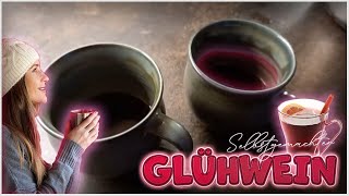 Vorglühen mit SELBST gemachten Glühwein  iBarmy [upl. by Persas198]