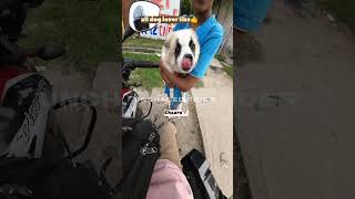 Such a cute little dog🐶 unchasedrider shorts motovlog [upl. by Rma]