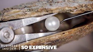 Why South Sea Pearls Are So Expensive  So Expensive  Business Insider [upl. by Enelym]