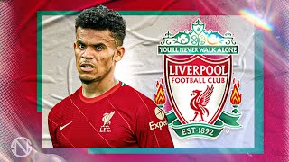 LUIS DIAZ  Welcome to Liverpool  Insane Goals Skills amp Assists  2022 [upl. by Oira]