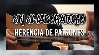 En el Laboratorio  Herencia De Patrones  Requinto Tutorial TABS  Guitarra [upl. by Ennaear]