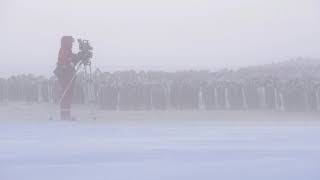 Cameraman Lindsay McCrae filming Emperor penguins on a stormy day Atka Bay Antarctica [upl. by Ellenaej]