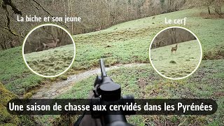 Une saison de chasse aux cervidés dans les Pyrénées  Saison 2 [upl. by Ainezey]